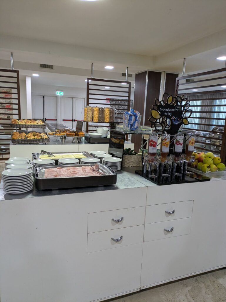 ROME TOR VERGATA/ローマホテル/HISツアー/イタリア一人旅/