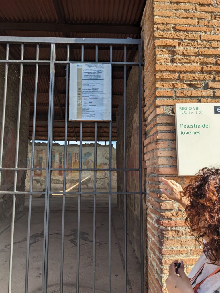 南イタリア/ナポリ/ポンペイ遺跡/HISツアー/イタリア一人旅/女1人旅