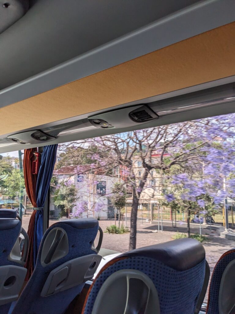 イタリア1人旅/女一人旅/南イタリア/ナポリ/市内観光/HISツアー/