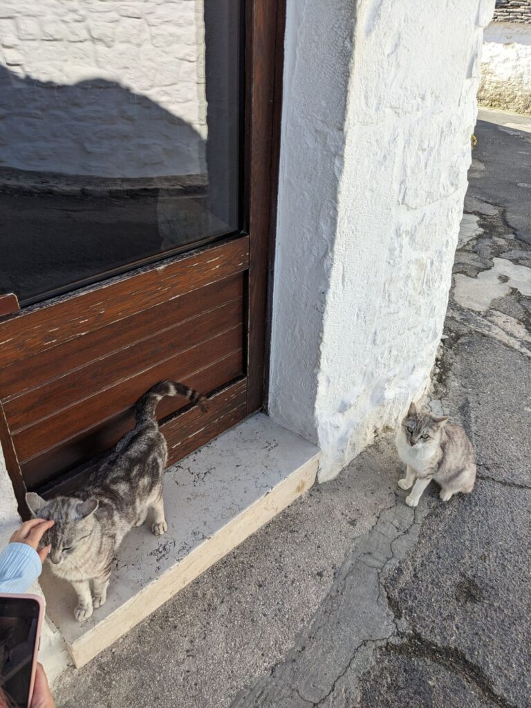 イタリア1人旅/女一人旅/南イタリア/アルベロベッロ散策//HISツアー