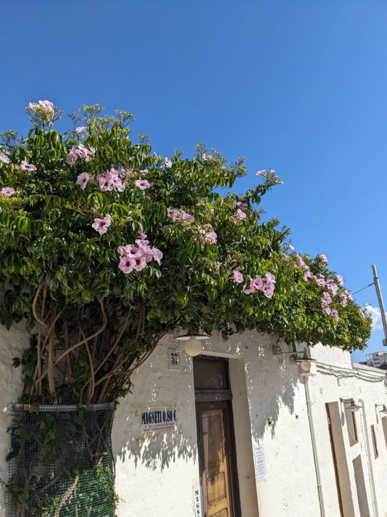 イタリア1人旅/女一人旅/南イタリア/アルベロベッロ散策//HISツアー