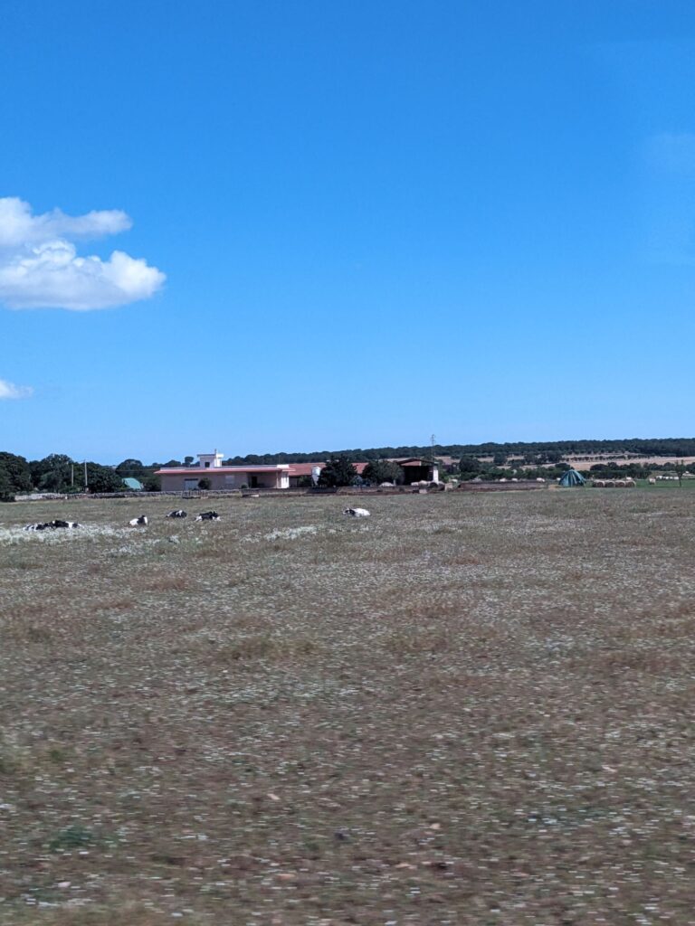 イタリア1人旅/女一人旅/南イタリア/ツアー参加/1人参加/アルベロベッロからマテーラへ/HISツアー