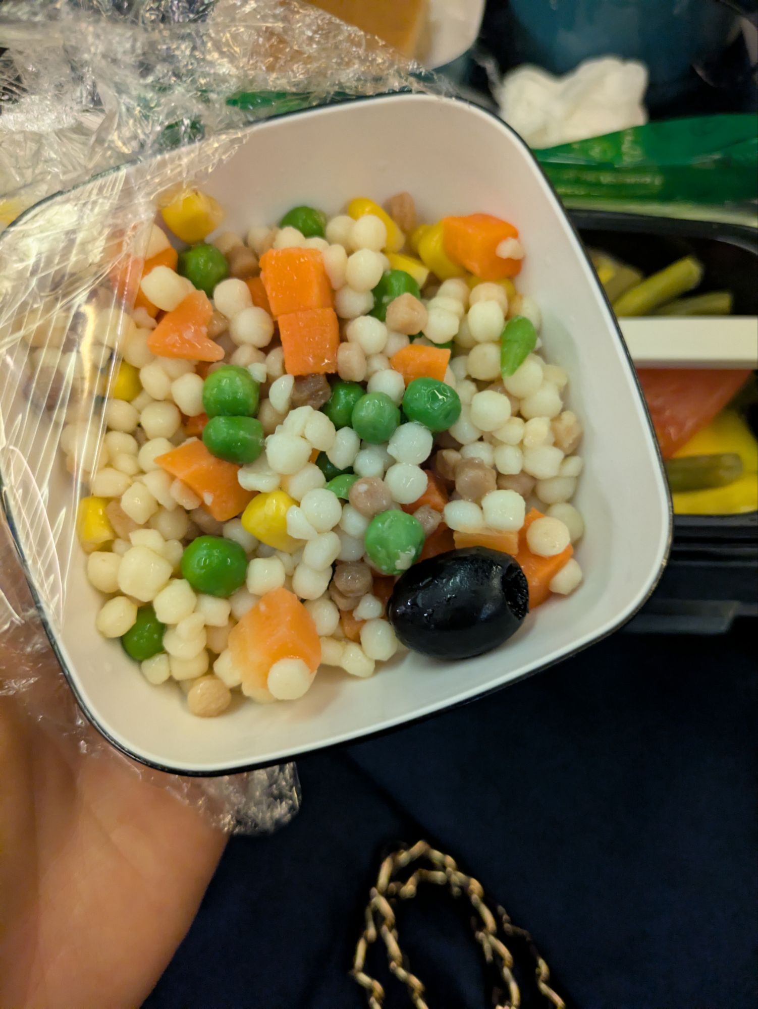 イタリア1人旅/女一人旅/南イタリア/ツアー参加/1人参加/ローマ自由行動/HISツアー/中国国際航空/機内食/ローマ北京