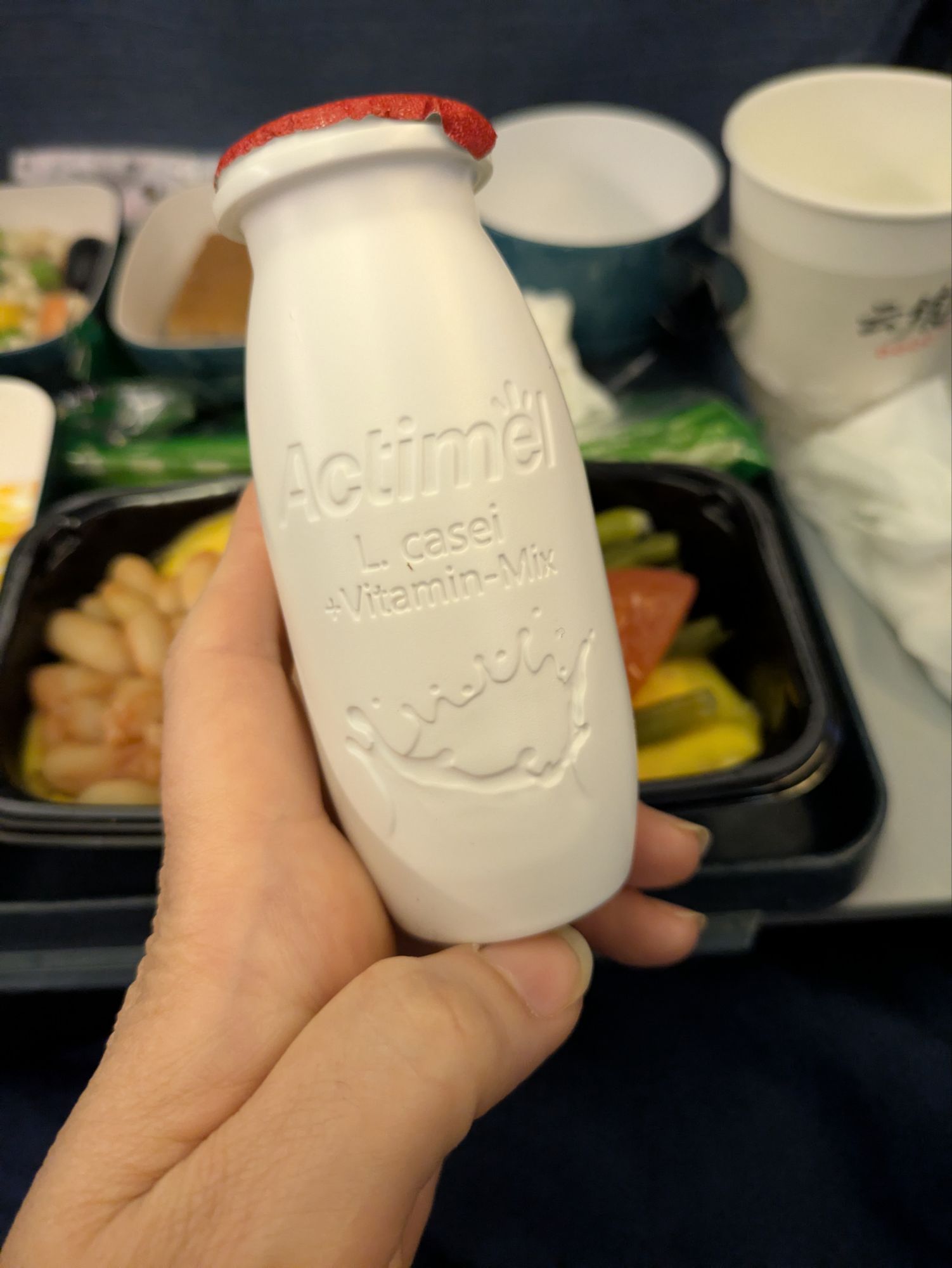 イタリア1人旅/女一人旅/南イタリア/ツアー参加/1人参加/ローマ自由行動/HISツアー/中国国際航空/機内食/ローマ北京