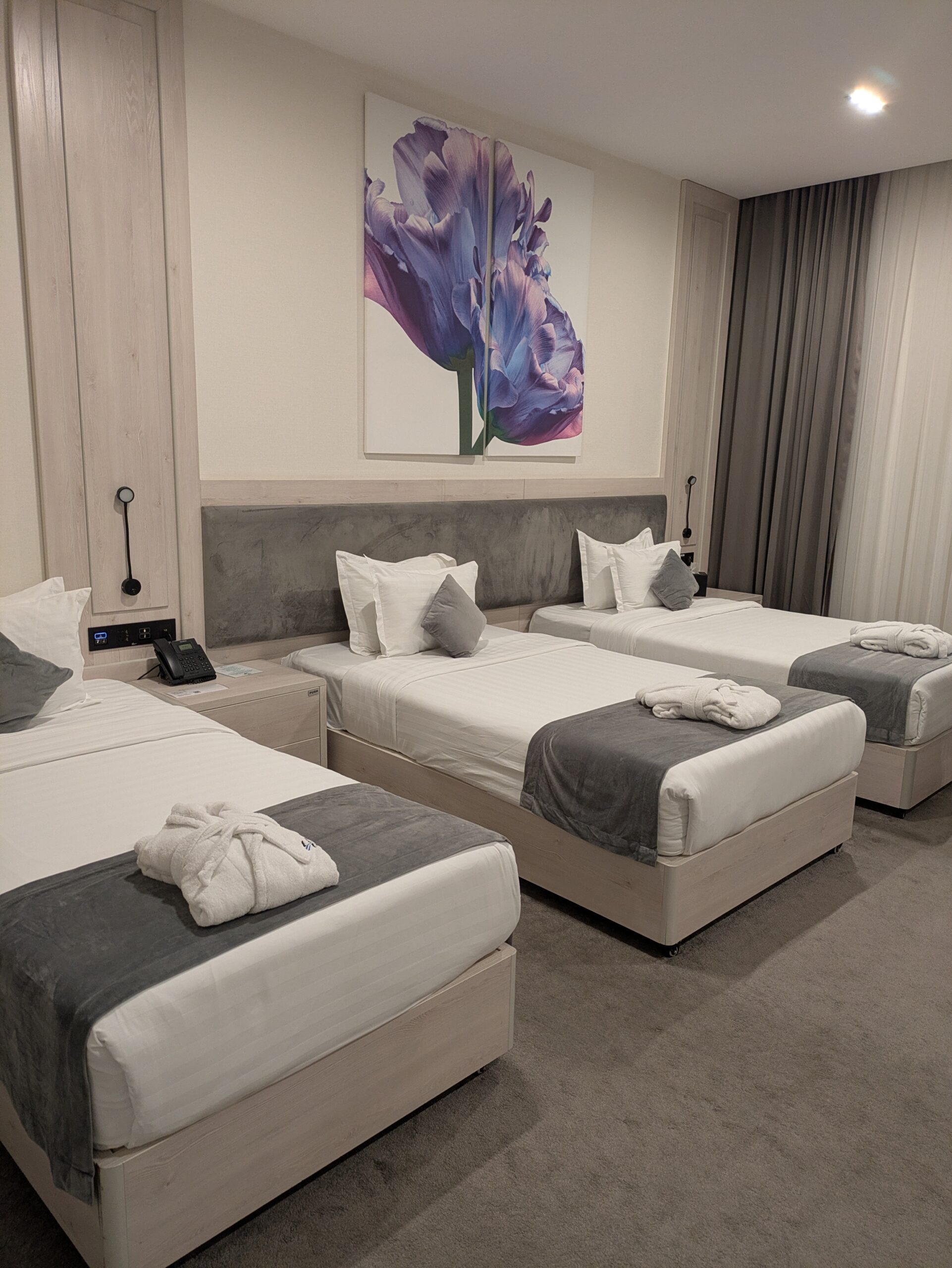 Hotel Inspira-S Tashkent
ホテルインスピラSタシケント　Uzbekistan　ウズベキスタンホテル　　おすすめ　一人旅