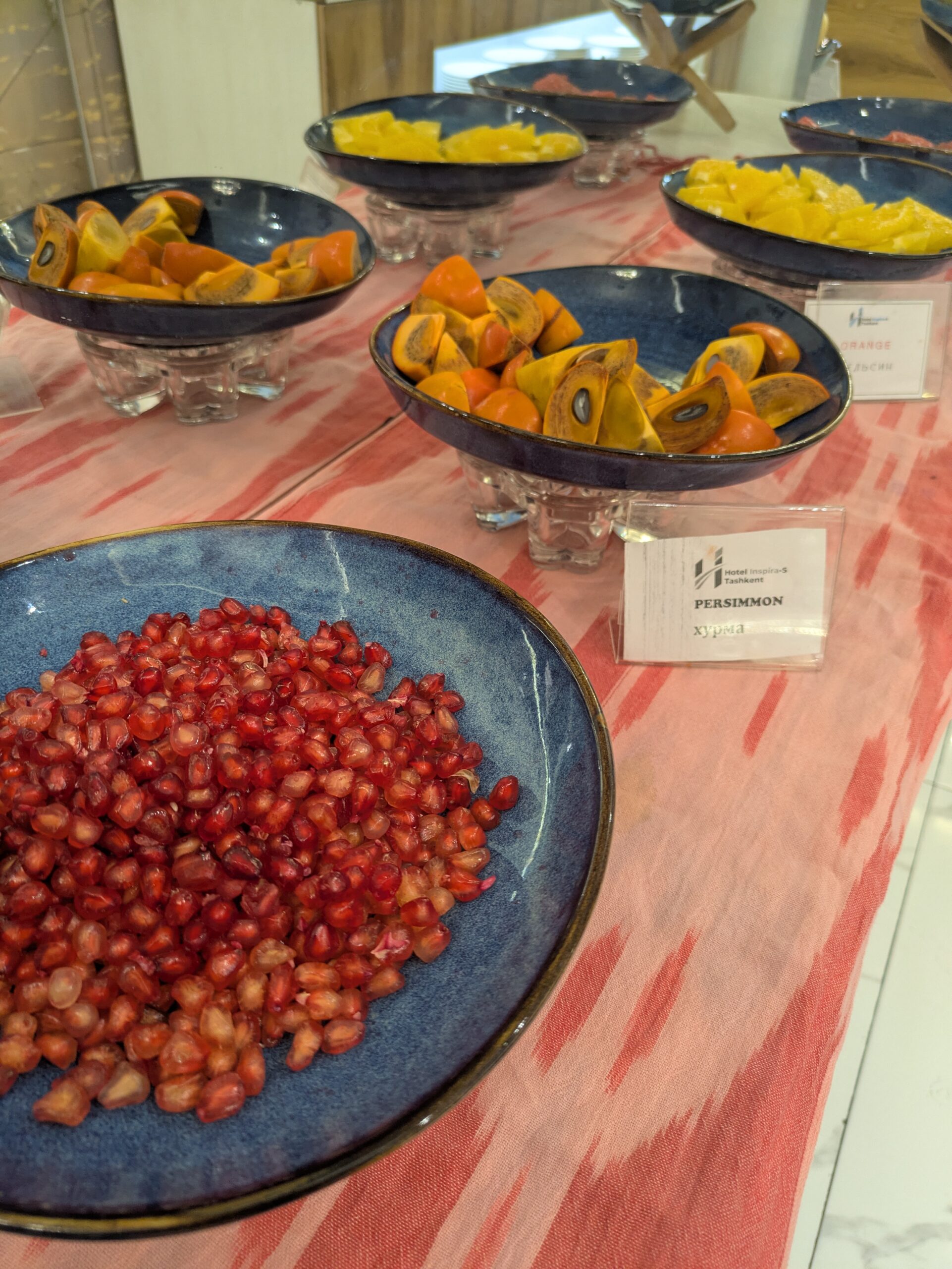 Hotel Inspira-S Tashkent
ホテルインスピラSタシケント　Uzbekistan　ウズベキスタンホテル　　おすすめ　一人旅